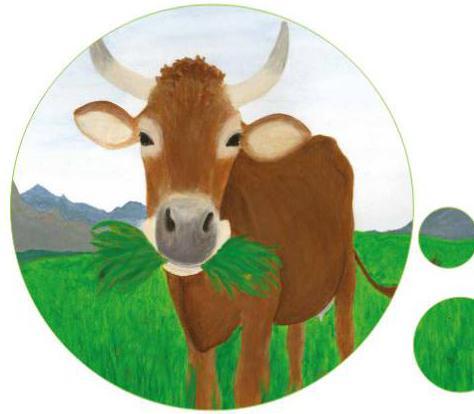 New Educational Material "COOL COWS"